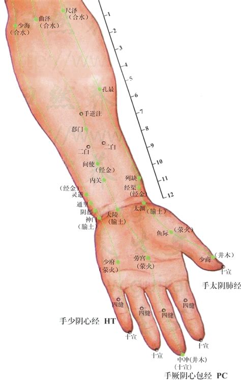 奇門穴位置|【奇門穴位置】掌握奇門穴位置：開啟人體「三扇窗。